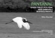 Pantanal: Opinião Pública Local sobre Meio Ambiente e Desenvolvimento