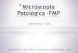 Microscopia Patológica1 -FMP FINAL