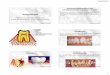 periodontopatias e periapicopatias