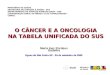 AUDHOSP Cancer Oncologia SUS 2009