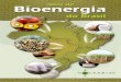 Atlas Bioenergia CNEBIO