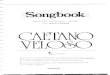 Songbook Caetano Veloso Vol II