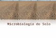 Microbiologia Do Solo