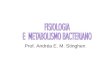 Fisiologia e Metabolismo Bacteria Nos