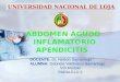 Abdomen Inflamatorio Apendicitis