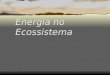 Energia No Ecossistema
