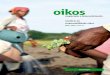 relatório oikos integral online