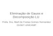 Eliminação de Gauss e Decomposição LU (1)