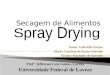 Trabalho Secagem Por Spray Drying