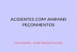 AULA 15-ACIDENTES COM ANIMAIS PEÇONHENTOS