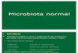 Aula Microbiota Normal