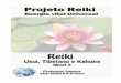 Projeto Reiki - Energia Vital Universal (Nível 2)