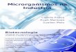 Microrganismos Na Industria Slides 2003