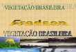 AULA, 3 - VEGETAÇÃO BRASIL