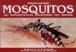 livro Principais mosquitos em saúde pública