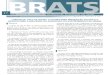 Brats 17 - Vacina Hpv
