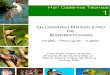 Glossario Brasileiro de Birdwatching