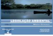 Livro 4 Legislacao Ambiental MT