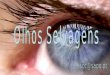 OLHOS SELVAGENS
