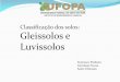 TRABALHO de SOLO - Gleissolo & Luvissolo