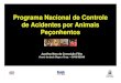 Programa de Controle de Acidentes por Animais Peçonhentos