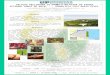 Relação preliminar da fauna e da flora do Parque Estadual Dunas de Natal - “ JORNALISTA LUIZ MARIA ALVES”