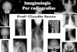 Aula 1 - Imaginologia por radiografias, mão, punho, cotovelo e antebraço. Profº Claudio Souza