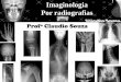 Aula 3- Imaginologia por radiografias, Joelho e perna. Profº Claudio Souza- ATUALIZADA mês05/12!!!!