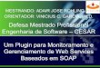 Um Plugin para Monitoramento e Gerenciamento de Web Services Baseados em SOAP (apresentação)