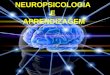 Neuropsicologia e Aprendizagem