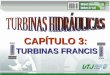 Turbinas-hidraulicas Cap 3 Turbinas-francis