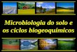 Aula Ciclos Biogeoquimicos