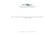 Relatório sistema de produção de morango (corrigido)