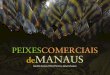 Livro Peixes Comerciais de Manaus _ebook