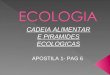 Biologia PPT - Aula 2 - Piramides Ecológicas