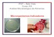 AULA 3 Microrganismos Indicadores