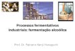 Aula 5 - Processos fermentativos industriais - Fermentação alcoolica