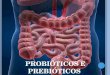 Aula Probióticos e Prebióticos