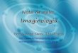 Notas Aula Imaginologia Slides 2009