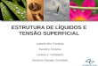 ESTRUTURA DE LÍQUIDOS E TENSÃO SUPERFICIAL[2]