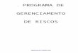 (PGR) Programa de Gerenciamento de Risco.doc