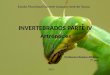 Invertebrados parte iv   artrópodos - Para ensino Fundamental