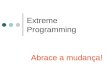 Extreme programming explicada