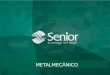 Senior – Segmento Metalmecânico
