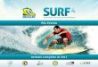 Curso SURF 4: Administração, Marketing e Gestão de Negócios