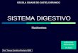 00 Sist Digestivo Nutrientes Tc 0809