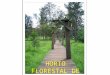 Horto Florestal De Rio Claro