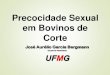 Fórum Expogenética 2013- Precocidade Sexual em Bovinos de Corte