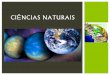 Ciências naturais 7   desenvolvimento de formas de vida mais complexas