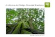 Reforma do Código Florestal - Deputado Federal Marcio Macedo (PT-SE)